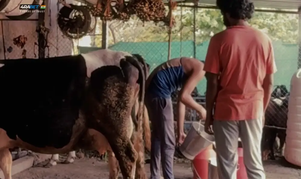 Cactus Pears (2024) — screenshot