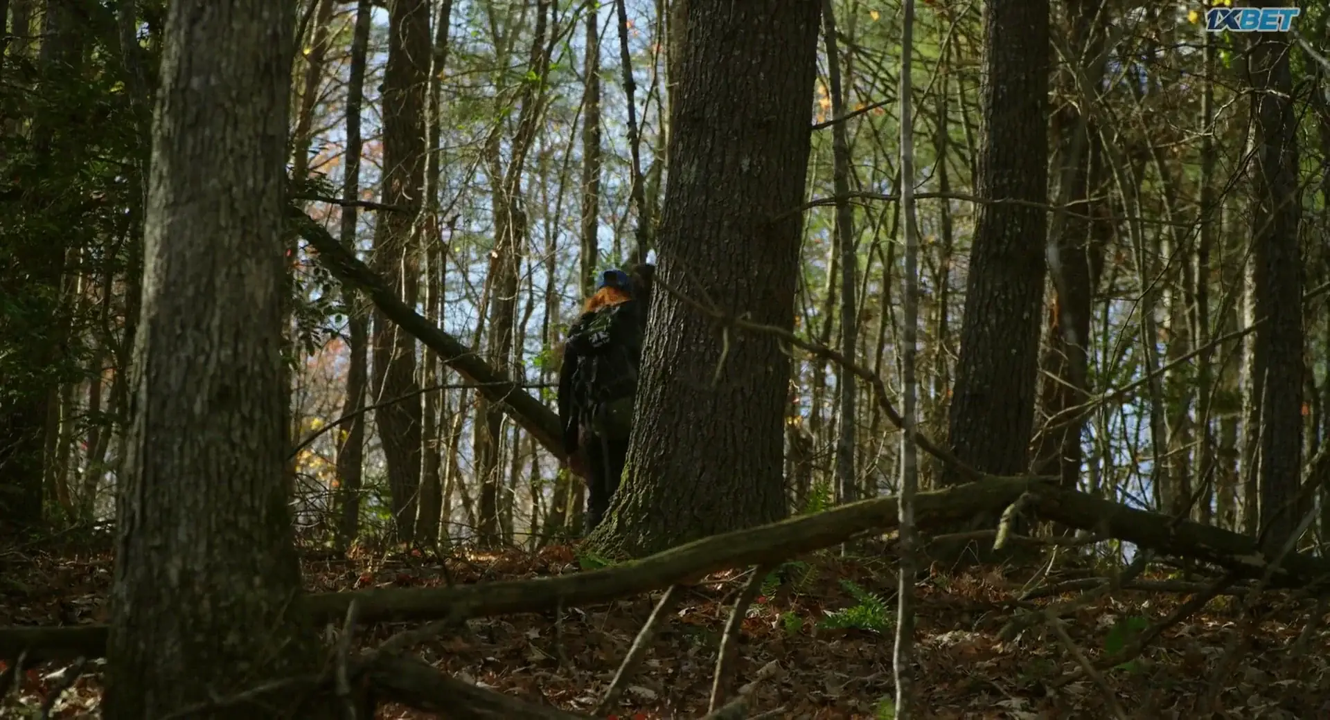 The Hike (2019) — screenshot