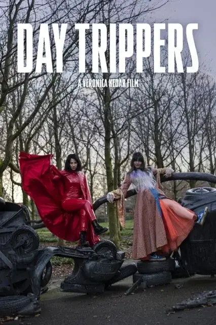 Day Trippers (2024) — watch online in  on MixMoviez