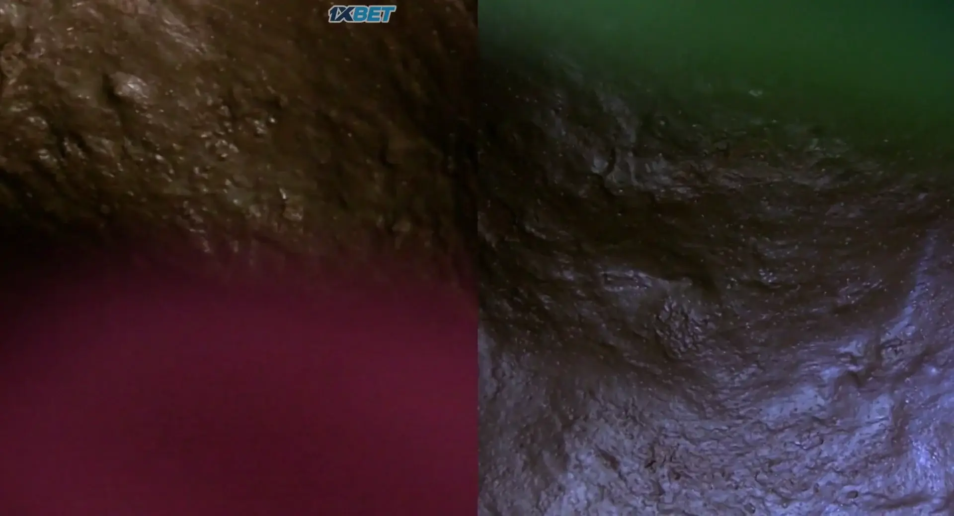 Don Barry: A Quixotic Exploration (2024) — screenshot