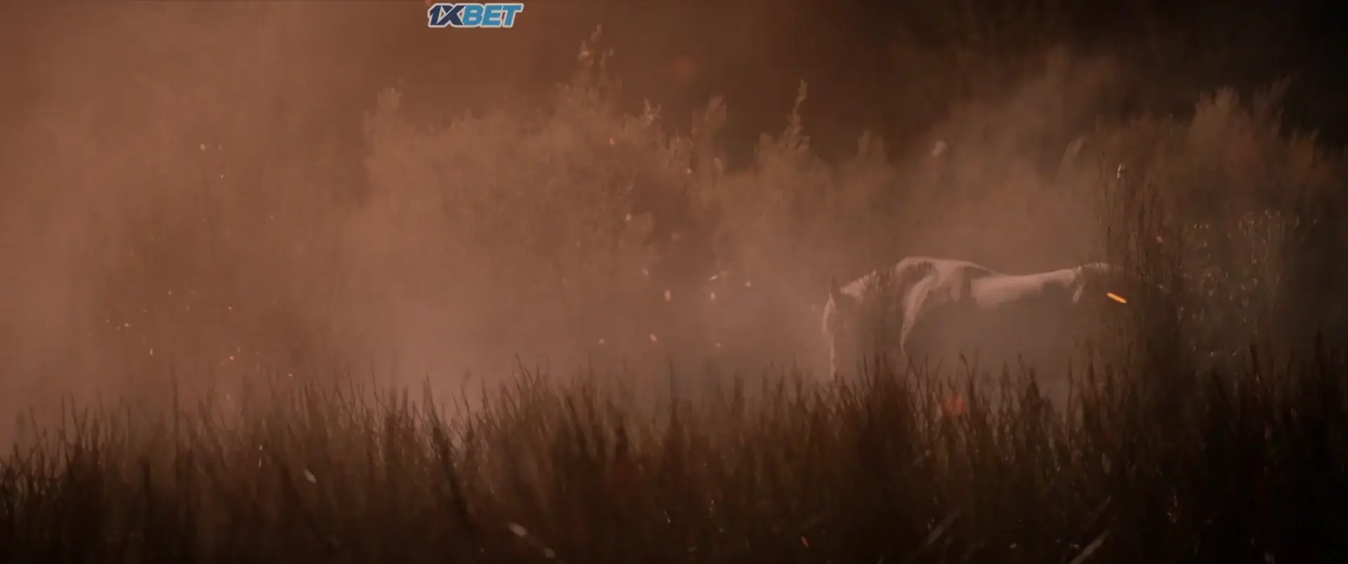In the Fire of War (2024) — screenshot