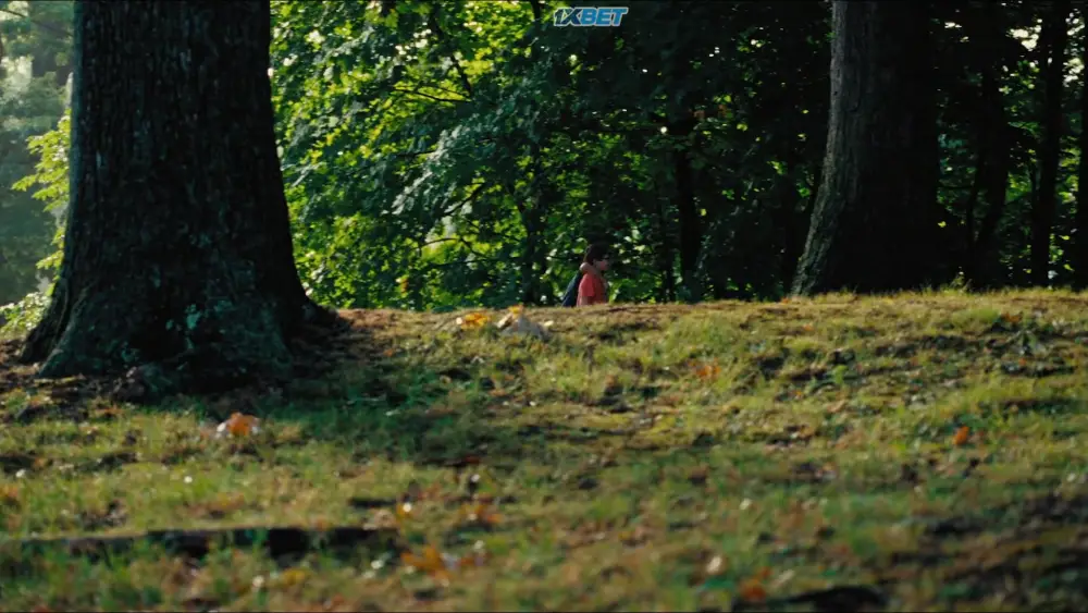 The Wild Dreamers (2024) — screenshot