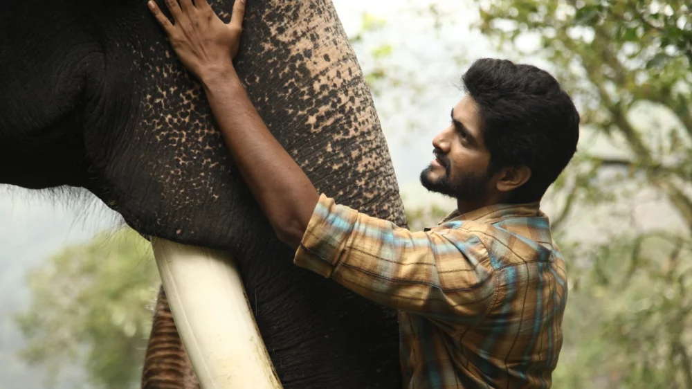Kumki 2 (2025) — background