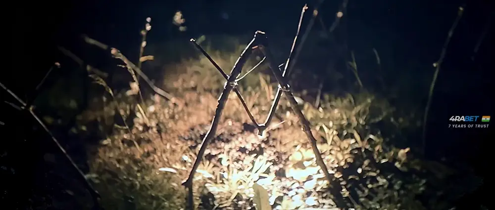 Shelby Oaks (2013) — screenshot