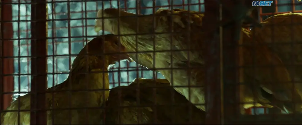 Hit List (2025) — screenshot