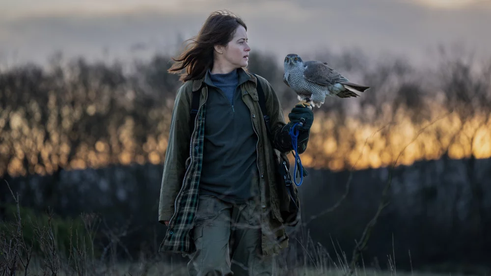 H Is for Hawk (2025) — background