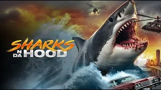 Sharks N Da Hood (2025) — background