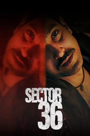 Sector 36 (2024) — watch online in  on MixMoviez
