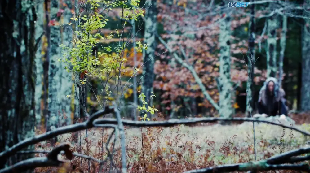 Mother of Flies (2026) — screenshot