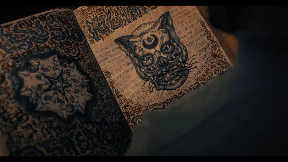 Don't Let the Cat Out (2025) — background