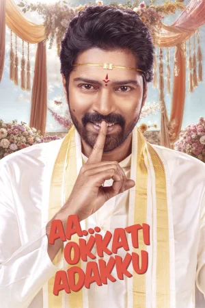 Aa Okkati Adakku (2024) — watch online in  on MixMoviez