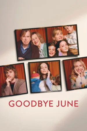 Goodbye June (2025) — watch online in  on MixMoviez