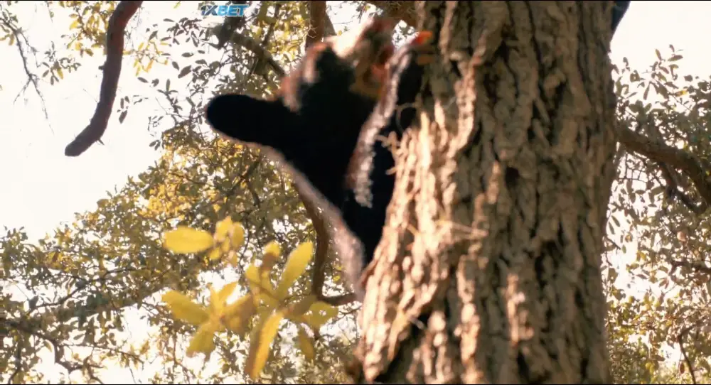 The Last Beautiful Thing (2026) — screenshot