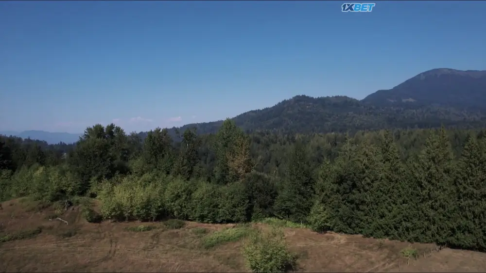 World War Bigfoot (2026) — screenshot