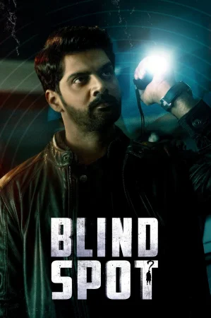 Blind Spot (2025) — watch online in  on MixMoviez