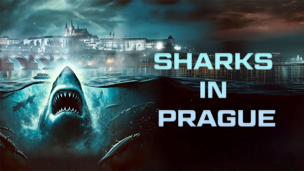 Sharks In Prague (2025) — background