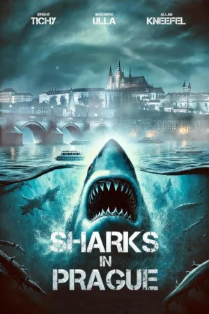 Sharks In Prague (2025) — watch online in  on MixMoviez