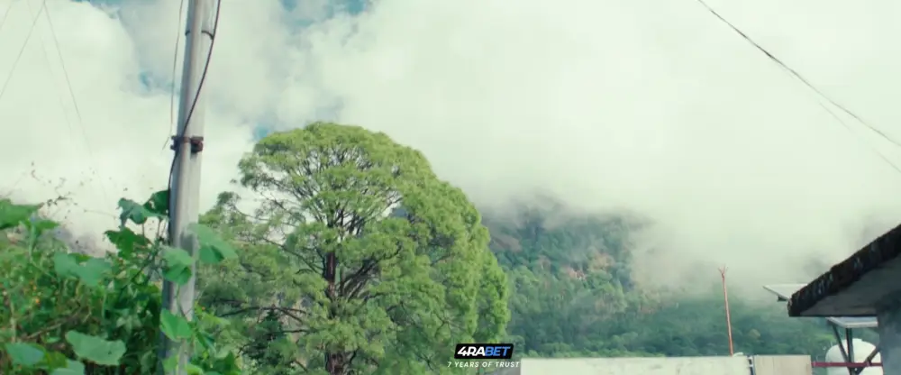 Tikdam (2024) — screenshot