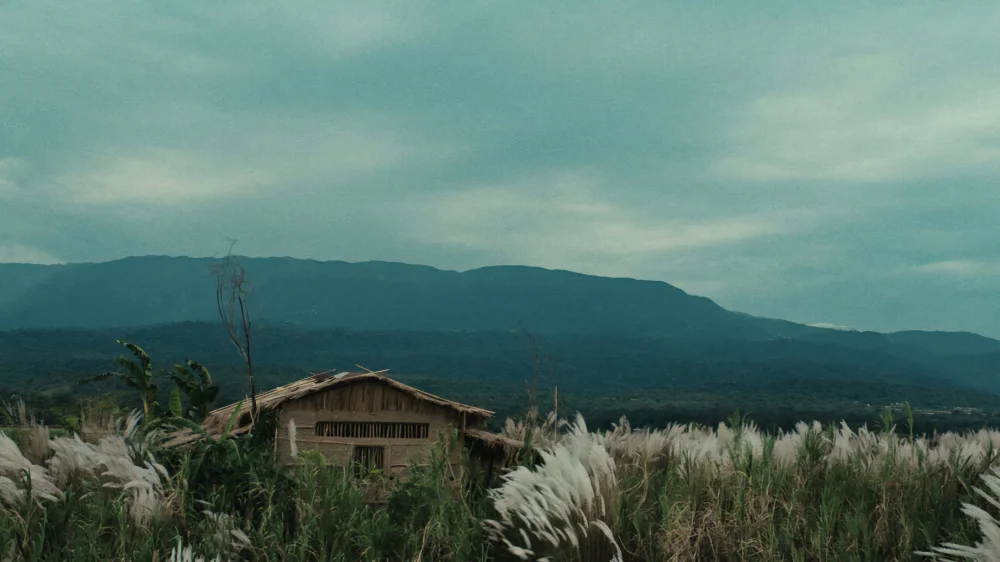 Roid (2026) — background