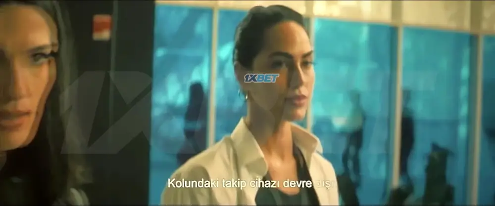 7 Dogs (2026) — screenshot