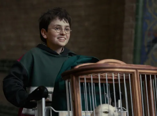 Harry Potter Cinematographer Opens Up About the Challenges of Filming HBO's TV Series